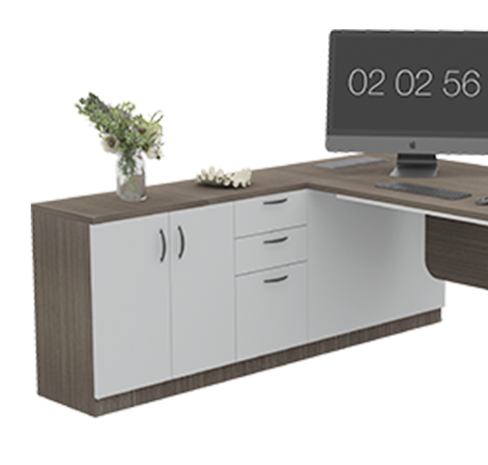 Sleek Pro Office Table 4