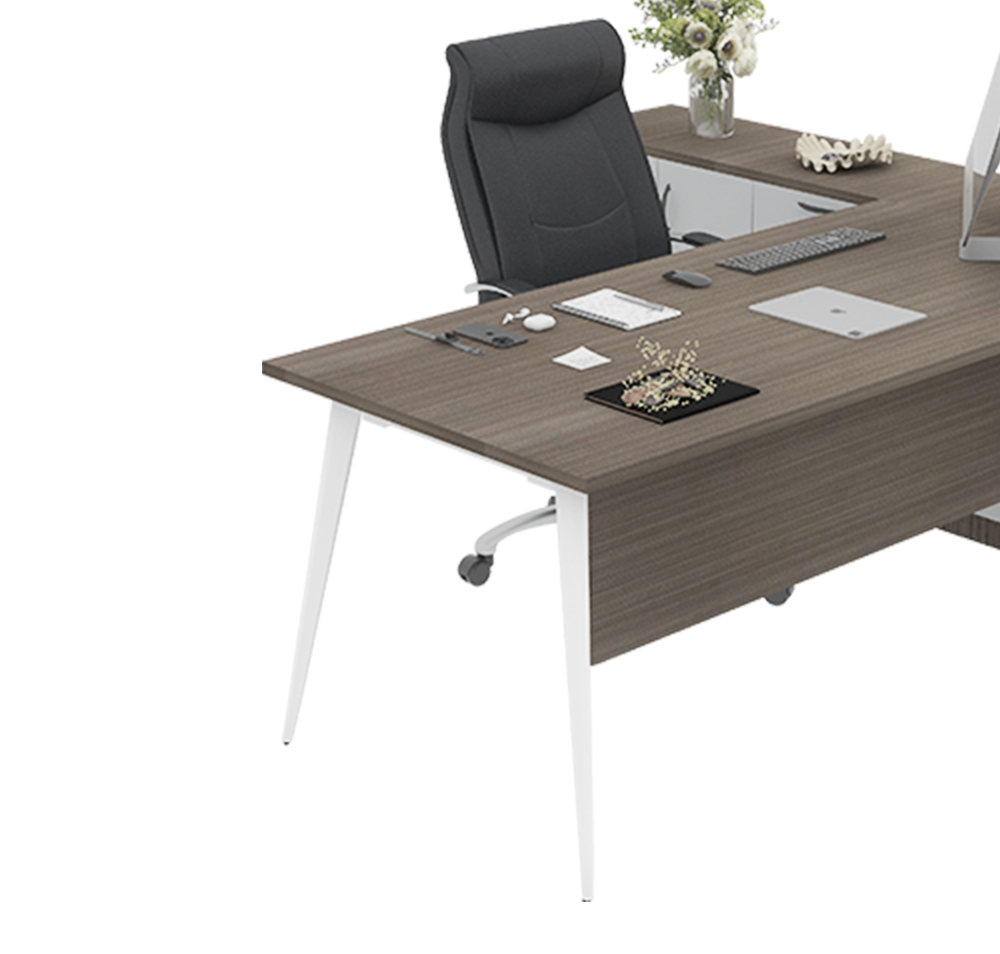 Sleek Pro Office Table 6