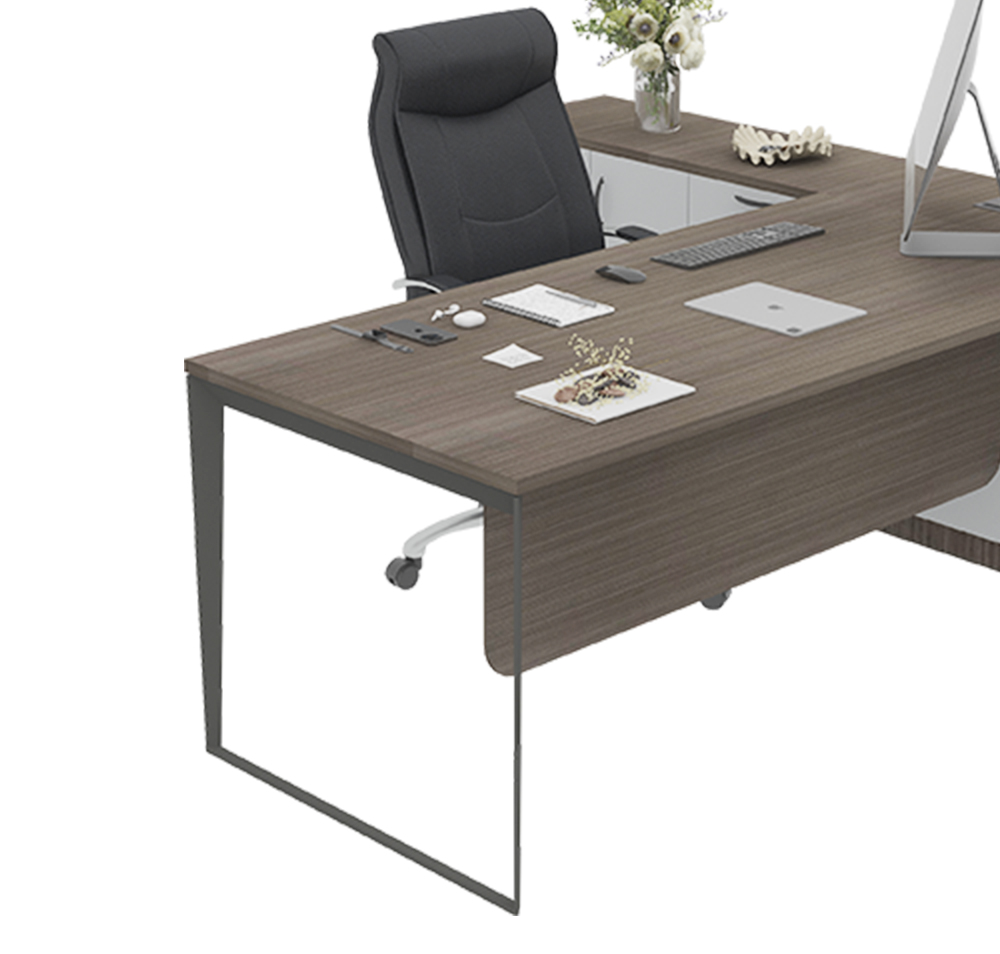 Titan Pro Office Table 5